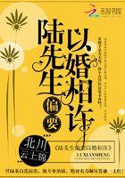 陆先生偏要以婚相许评论